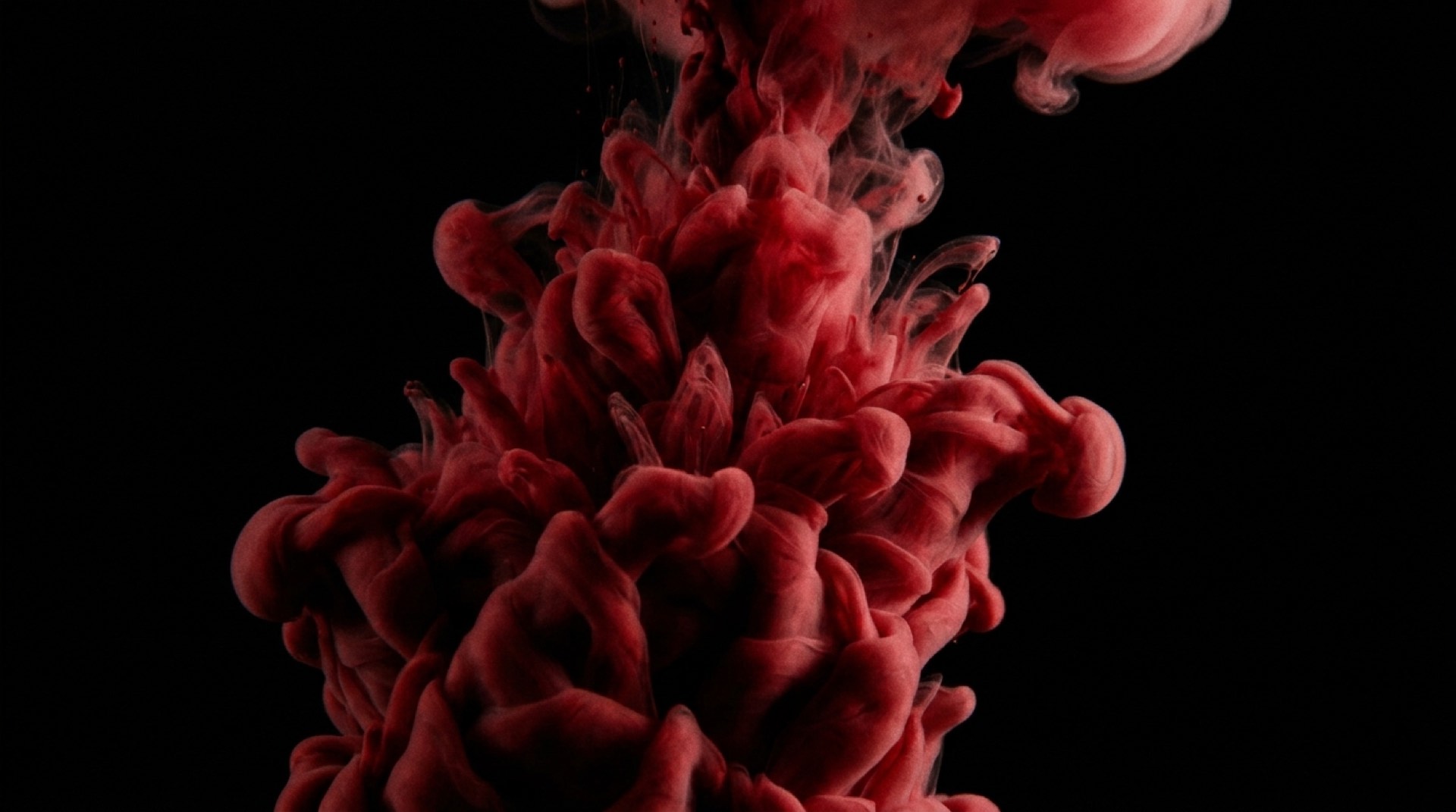Always-on film engine - still from Hoopla's 250+ film production system for a multinational portfolio